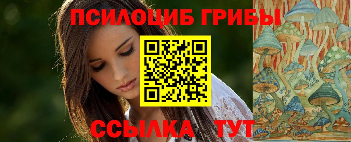 Галлюциногенные грибы прущие грибы Качканар