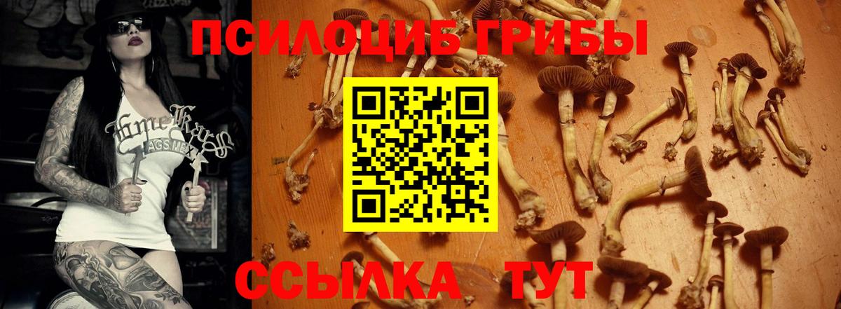 Галлюциногенные грибы MAGIC MUSHROOMS  Вход с VPN  Псилоцибиновые грибы GOLDEN TEACHER  Качканар 